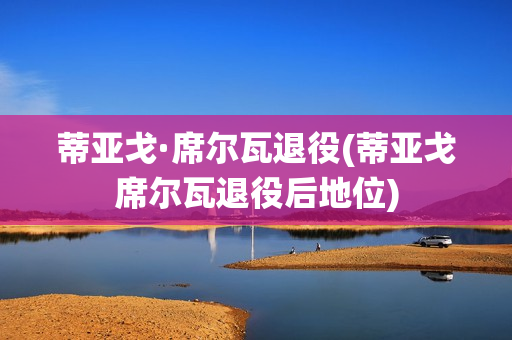 蒂亚戈·席尔瓦退役(蒂亚戈席尔瓦退役后地位)