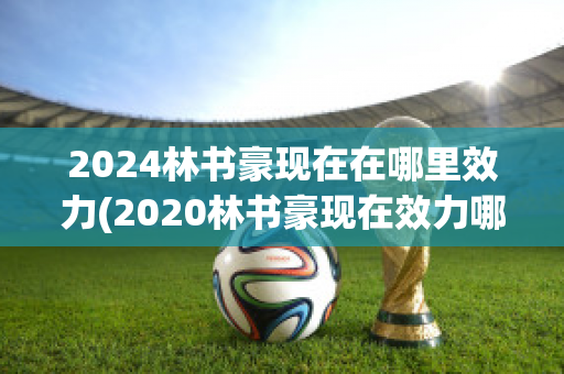 2024林书豪现在在哪里效力(2020林书豪现在效力哪支球队)