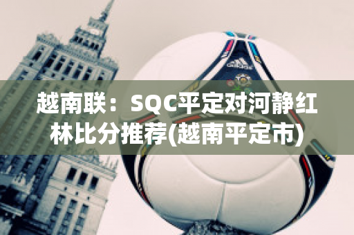 越南联：SQC平定对河静红林比分推荐(越南平定市)