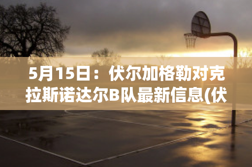 5月15日：伏尔加格勒对克拉斯诺达尔B队最新信息(伏尔加格勒对乌拉尔)