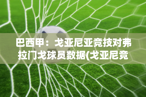 巴西甲：戈亚尼亚竞技对弗拉门戈球员数据(戈亚尼竞技对巴拉纳竞技比分)