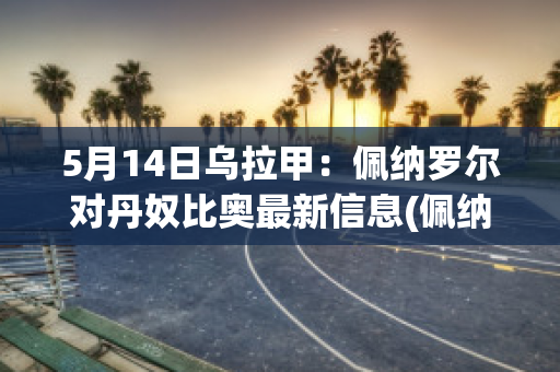 5月14日乌拉甲：佩纳罗尔对丹奴比奥最新信息(佩纳罗尔对乌拉圭民族比赛分析)