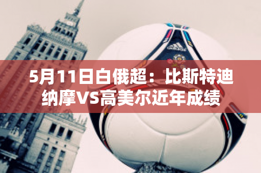 5月11日白俄超：比斯特迪纳摩VS高美尔近年成绩