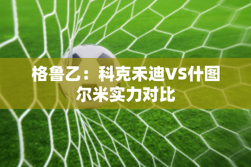 格鲁乙：科克禾迪VS什图尔米实力对比