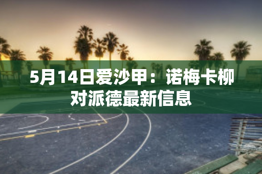 5月14日爱沙甲：诺梅卡柳对派德最新信息