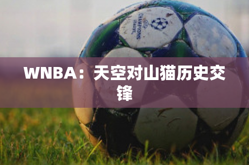 WNBA：天空对山猫历史交锋