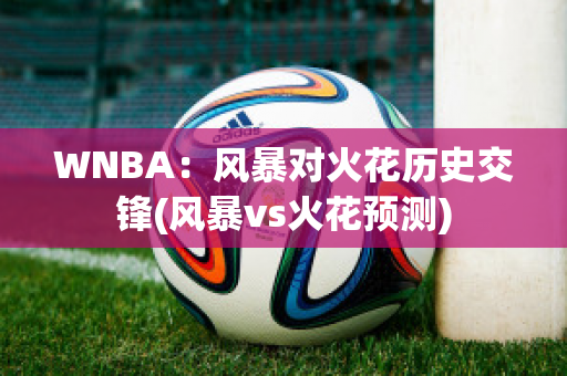 WNBA：风暴对火花历史交锋(风暴vs火花预测)