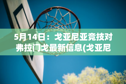 5月14日：戈亚尼亚竞技对弗拉门戈最新信息(戈亚尼亚竞技vs弗鲁米嫩塞直播)