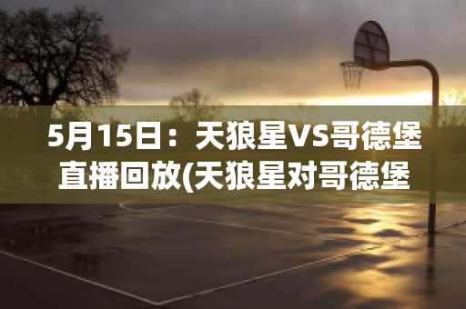 5月15日：天狼星VS哥德堡直播回放(天狼星对哥德堡)