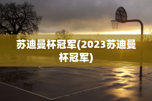 苏迪曼杯冠军(2023苏迪曼杯冠军)