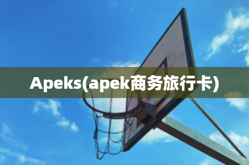 Apeks(apek商务旅行卡)