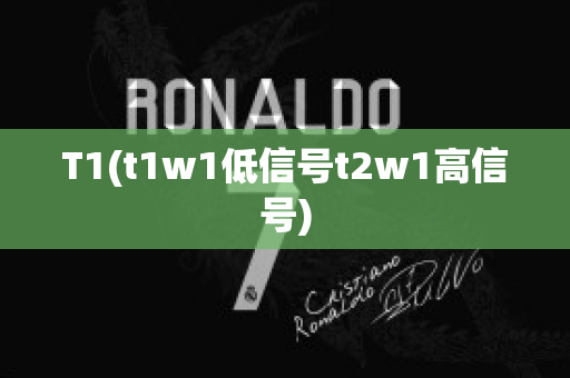 T1(t1w1低信号t2w1高信号)