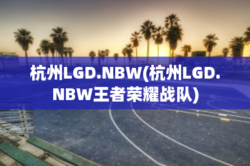 杭州LGD.NBW(杭州LGD.NBW王者荣耀战队)