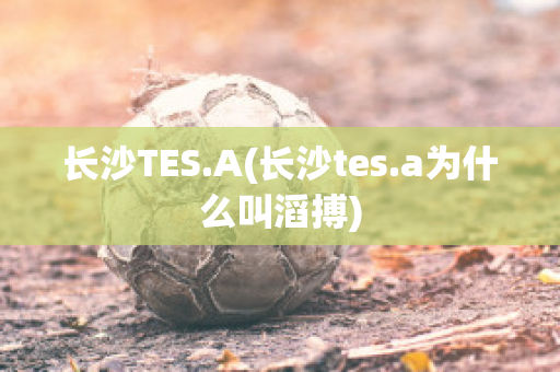 长沙TES.A(长沙tes.a为什么叫滔搏)