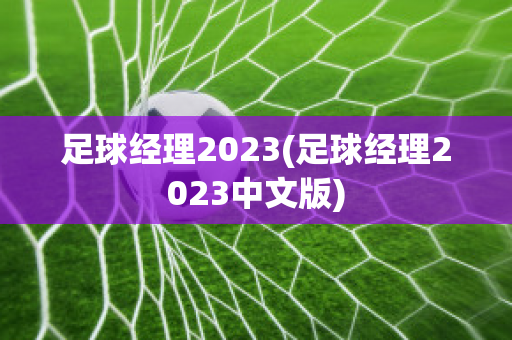 足球经理2023(足球经理2023中文版)