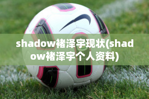 shadow褚泽宇现状(shadow褚泽宇个人资料)