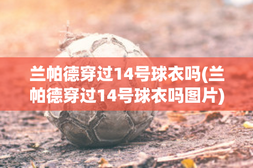 兰帕德穿过14号球衣吗(兰帕德穿过14号球衣吗图片)