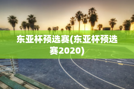 东亚杯预选赛(东亚杯预选赛2020)