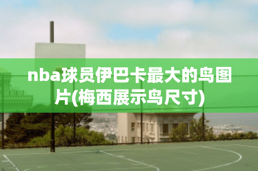 nba球员伊巴卡最大的鸟图片(梅西展示鸟尺寸)