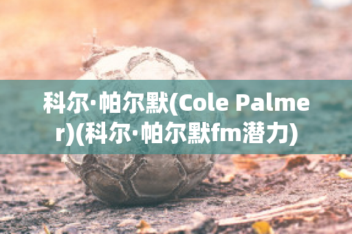 科尔·帕尔默(Cole Palmer)(科尔·帕尔默fm潜力)