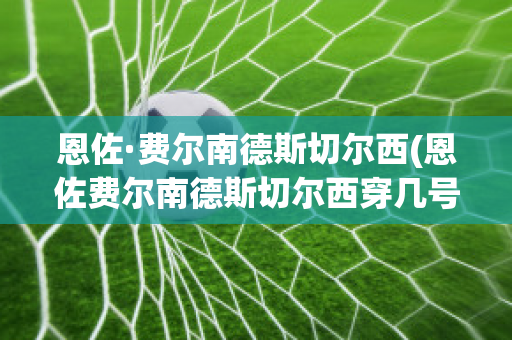 恩佐·费尔南德斯切尔西(恩佐费尔南德斯切尔西穿几号)