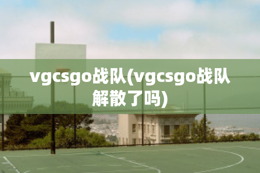 vgcsgo战队(vgcsgo战队解散了吗)