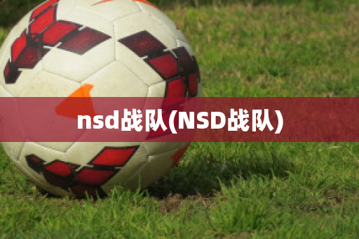 nsd战队(NSD战队)