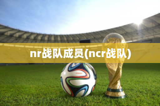 nr战队成员(ncr战队)