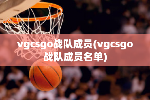 vgcsgo战队成员(vgcsgo战队成员名单)