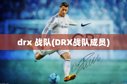 drx 战队(DRX战队成员)