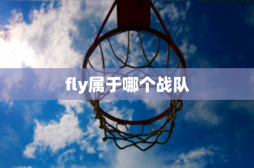 fly属于哪个战队