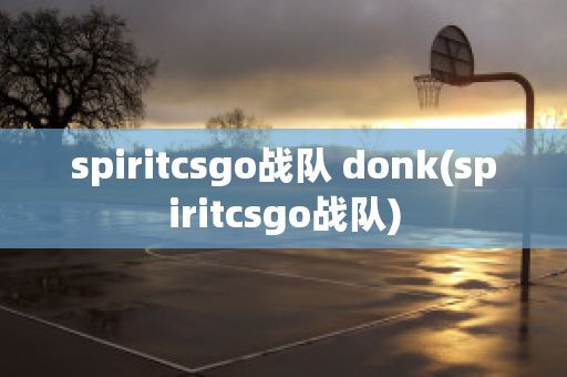 spiritcsgo战队 donk(spiritcsgo战队)