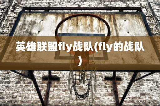 英雄联盟fly战队(fly的战队)