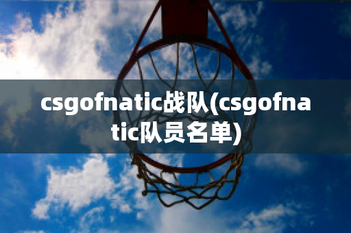 csgofnatic战队(csgofnatic队员名单)