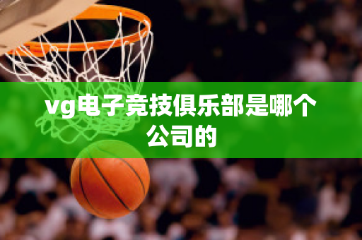 vg电子竞技俱乐部是哪个公司的