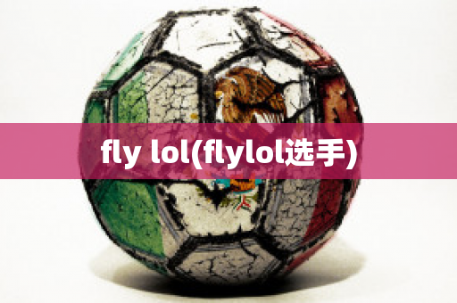 fly lol(flylol选手)