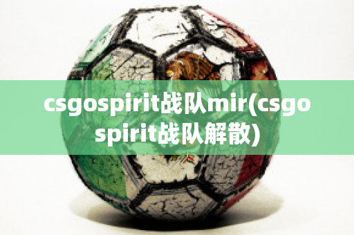 csgospirit战队mir(csgospirit战队解散)