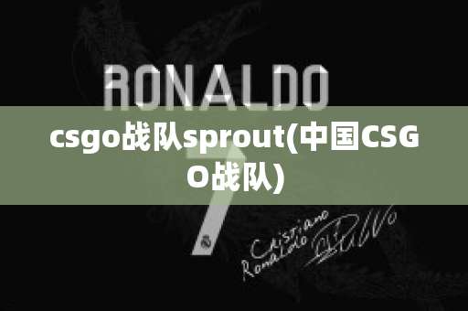 csgo战队sprout(中国CSGO战队)