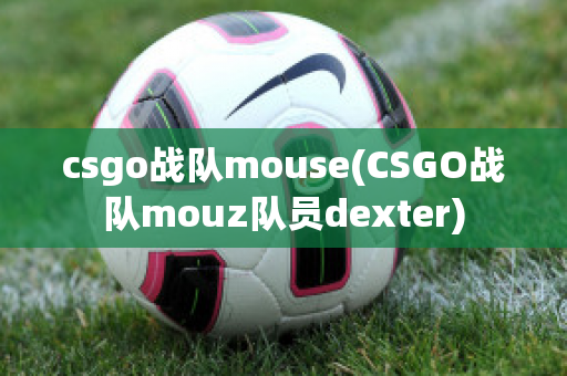 csgo战队mouse(CSGO战队mouz队员dexter)